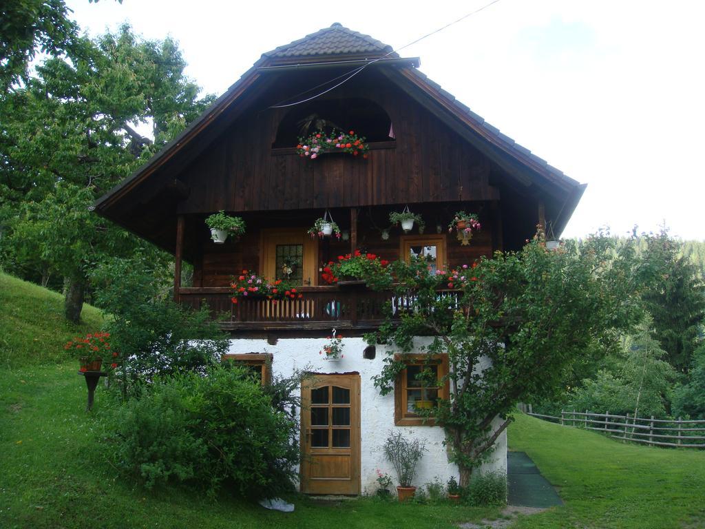 Ferienwohnung Lahnerhof Arriach Exterior photo